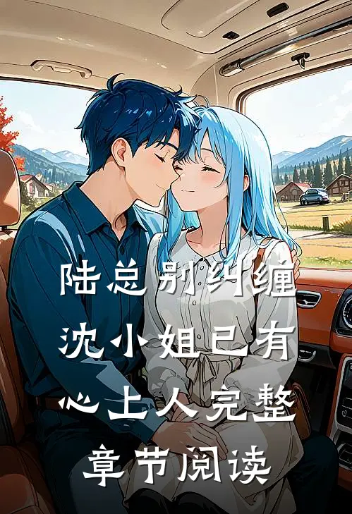 陆总别纠缠,沈小姐已有心上人完整章节阅读