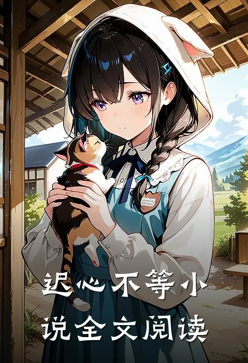 迟心不等小说全文阅读