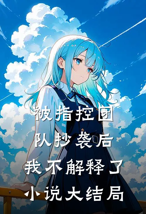 被指控团队抄袭后，我不解释了小说大结局