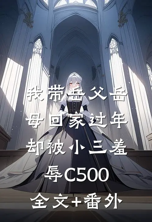 我带岳父岳母回家过年，却被小三羞辱C500全文+番外